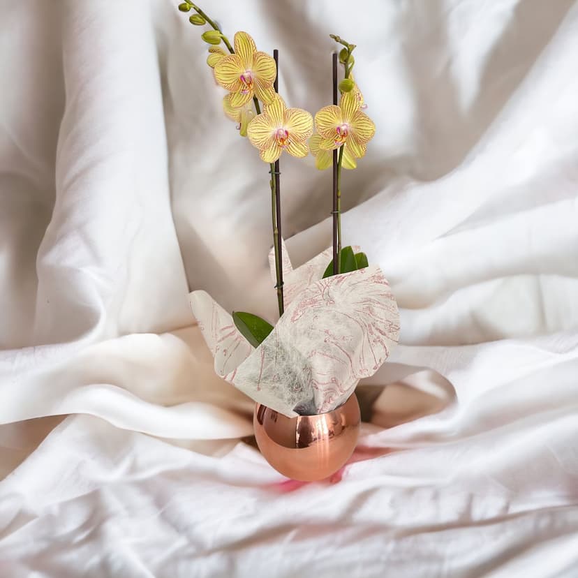 Orquideas Amarillas - Base Cromada