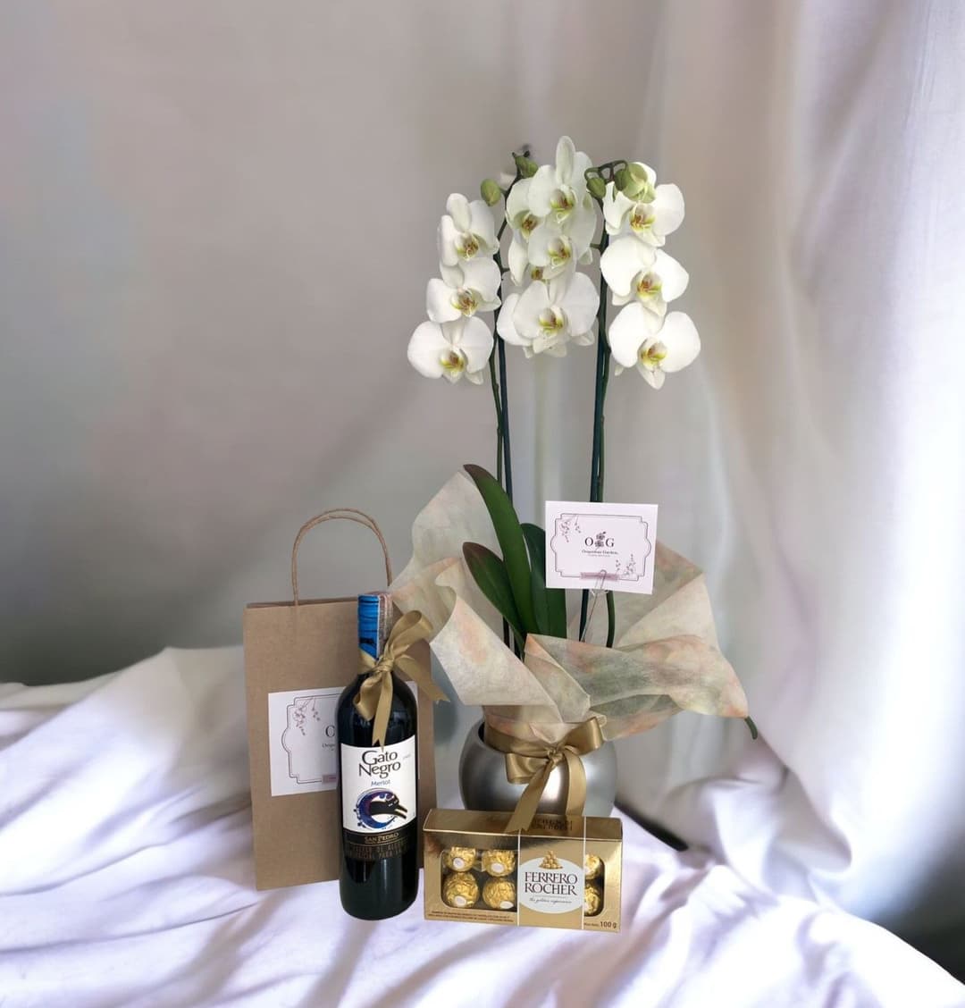 Kit Celebración HBD